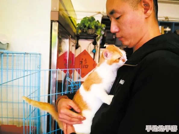 胆王钢蛋曾匿名向流浪动物救助站捐款百万