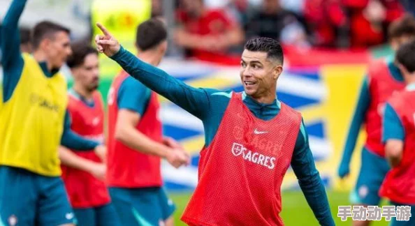 2024热门推荐:有杀气童话各类型顶级伙伴精选指南 2024热门推荐:有杀气童话各类型顶级伙伴精选指南