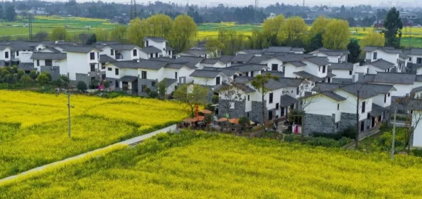 皇室战争2024最新冲杯攻略：2000杯以下小技巧与心得分享