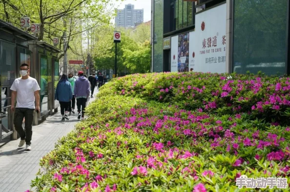 都市校园一区春色遭网友举报涉嫌传播不良信息已被相关部门查处