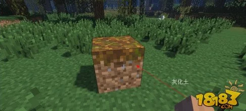 《我的世界》热门攻略:蘑菇树高效种植方法与技巧分享 《我的世界》热门攻略:蘑菇树高效种植方法与技巧分享