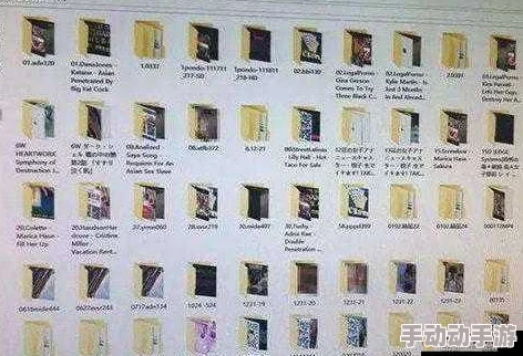 五级片网站传播非法有害信息已被警方查封