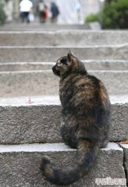 啊好大受不了了原标题为“猫咪伸懒腰”视频片段遭恶意剪辑 啊好大受不了了原标题为“猫咪伸懒腰”视频片段遭恶意剪辑