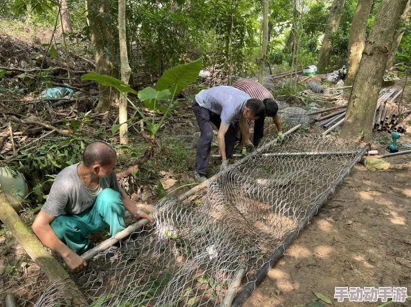 《我的世界》热门技巧:最新捕兽笼制作教程与高效使用指南分享 《我的世界》热门技巧:最新捕兽笼制作教程与高效使用指南分享