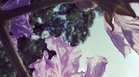 欧美精品AⅤ在线一区画质清晰流畅更新及时内容丰富 欧美精品AⅤ在线一区画质清晰流畅更新及时内容丰富