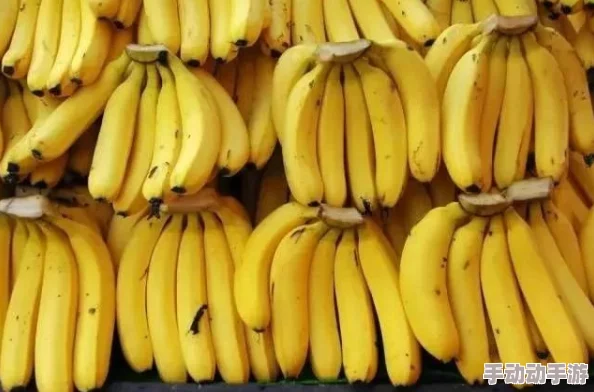 为何91精品国产一区二区三区香蕉经久不衰资源丰富更新及时满足用户各种需求