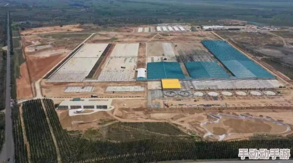 2024热门幻想计划灵武组合攻略:高效阵容搭配指南 2024热门幻想计划灵武组合攻略:高效阵容搭配指南