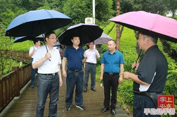 久久一二三区为什么内容多样选择多为何备受用户喜爱