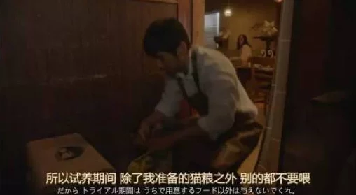 为什么日本三级片在线如此流行可能是因为它填补了某些人情感或性幻想的空白