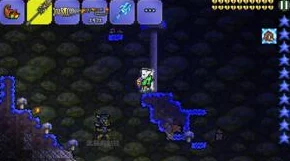 泰拉瑞亚：2024蘑菇长矛武器属性全面热门详解