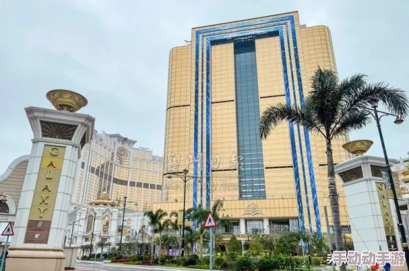 2024热门FGO银河级挑战!平民玩家命运冠位指定,恶魔心脏玄学攻略秘籍 2024热门FGO银河级挑战!平民玩家命运冠位指定,恶魔心脏玄学攻略秘籍