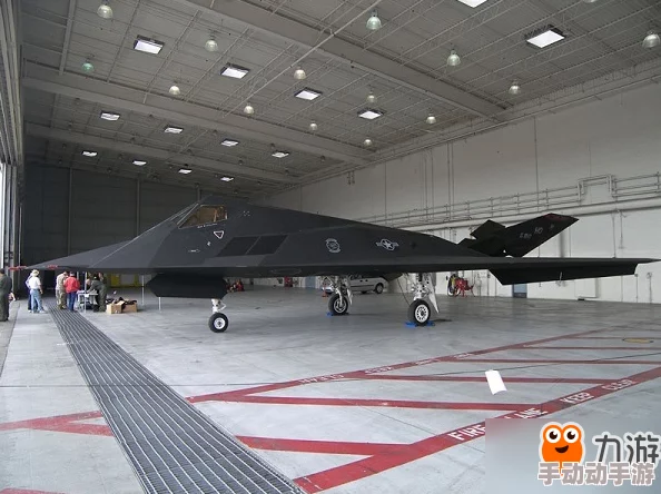 战机风暴：深度解析F-117夜鹰战机最新属性与热门特点