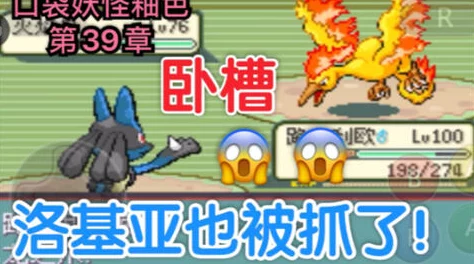 《口袋妖怪重制》11.24新服盛启，热门新区活动火爆来袭！