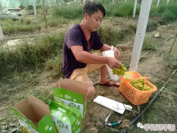 欧美18school人禽杂交内容涉嫌违法传播已被举报至相关部门