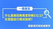 一区二区精品视频高清资源持续更新中
