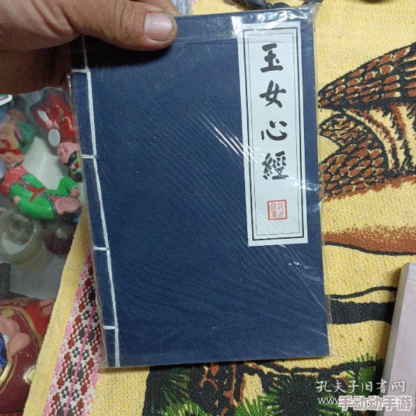 玉女心经3元宇宙恋爱指南