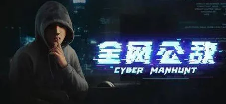 深度解析无处遁形全网公敌游戏价格及价值评估 深度解析无处遁形全网公敌游戏价格及价值评估