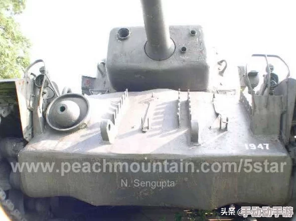 战争雷霆T29与虎王对比分析:哪款坦克更强? 战争雷霆T29与虎王对比分析:哪款坦克更强?