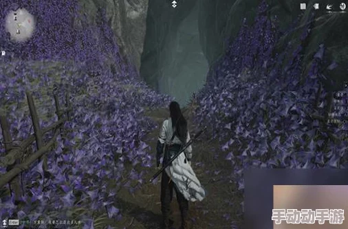 燕云十六声:佛花秘境探险与鼠下奇遇全攻略 燕云十六声:佛花秘境探险与鼠下奇遇全攻略