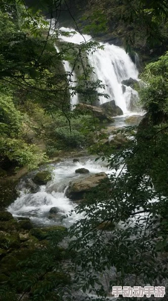 桃源深处有人家青龙尾宿观星指南 桃源深处有人家青龙尾宿最佳观星攻略 桃源深处有人家青龙尾宿观星指南 桃源深处有人家青龙尾宿最佳观星攻略