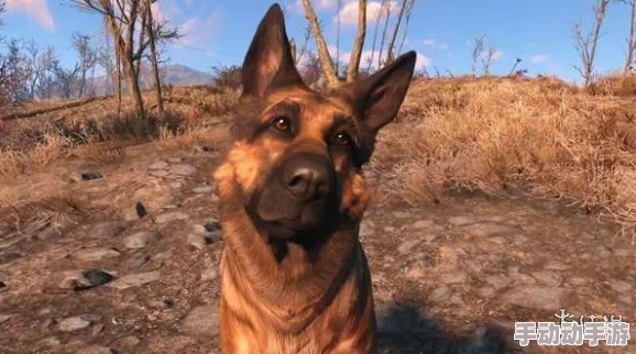 《辐射4》游戏中偷窃操作的详细按键解析与技巧探讨 《辐射4》游戏中偷窃操作的详细按键解析与技巧探讨