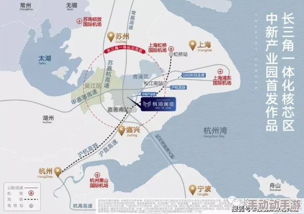 深度解析森之国度中如何选择最优金猫策略