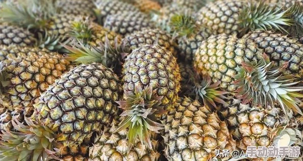深度解析如何在游戏中正确输入与使用植物大战僵尸指令