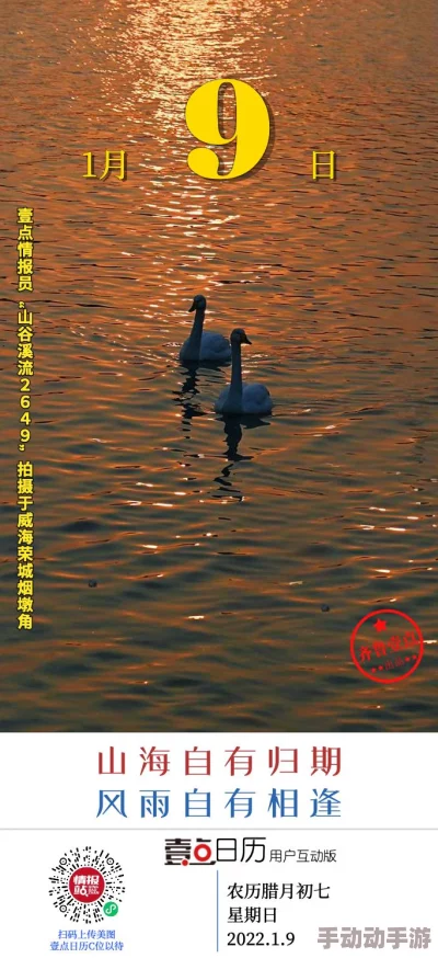 DNF游戏攻略：深度解析灿烂徽章的最佳镶嵌选择