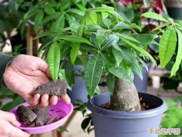 辐射4：加入哪个阵营最好？