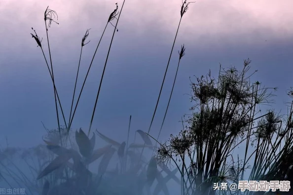 《黎明飞驰》遭遇燃油耗尽，应急策略大揭秘